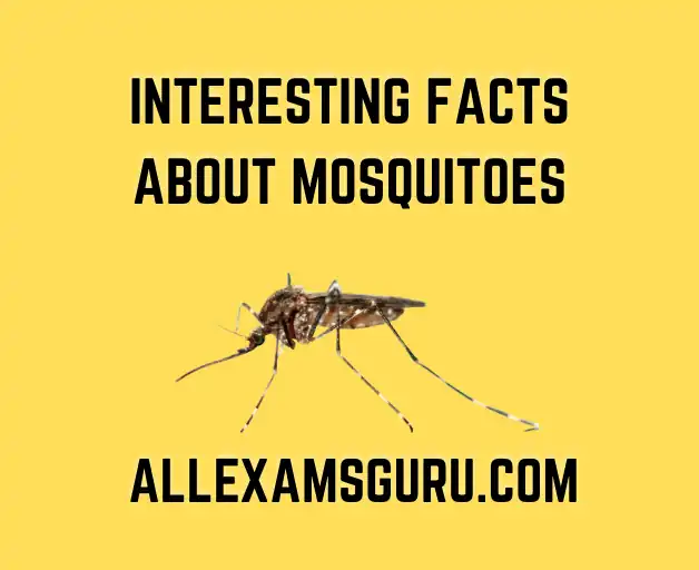 Interesting Facts About Mosquitoes