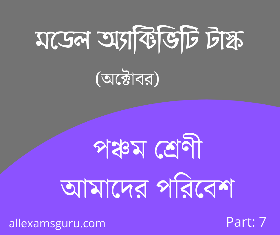 https://allexamsguru.com/