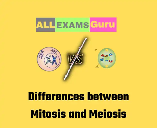 Differences between Mitosis and Meiosis